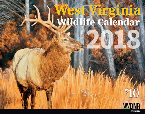 West Virginia: DNR Seeks Fish/Wildlife paintings for 2019 Calendar