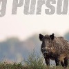 This week on Revolution Radio with Jim and Trav: Pig Pursuits 