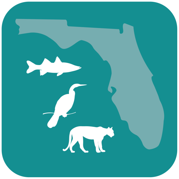 Florida: Report Fish And Wildlife Sightings With FWC’s New App ...