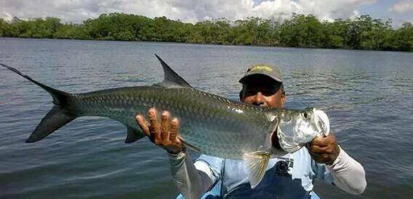 Pacific Coast Tarpon Study in Costa Rica | The Outdoor Wire