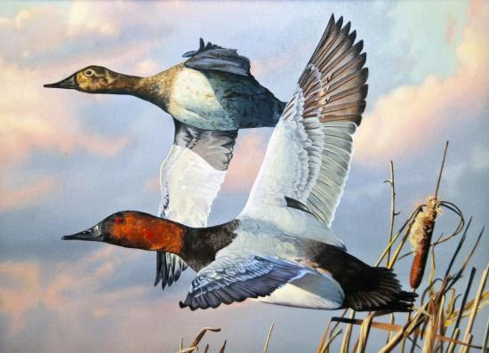 2019 Louisiana Duck Stamp Contest Birding Wire