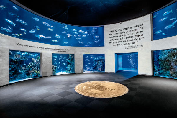 America's Best Aquarium is in Springfield, Missouri - Bb6aD06e 184a 47D4 8Dc1 3a373b35aDa8 600x400