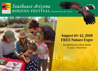 Nature Expo Of The Southeast Arizona Birding Festival Offers Fun And ...