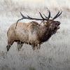 This Week on The Revolution with Jim &amp; Trav: Bucks and Bulls