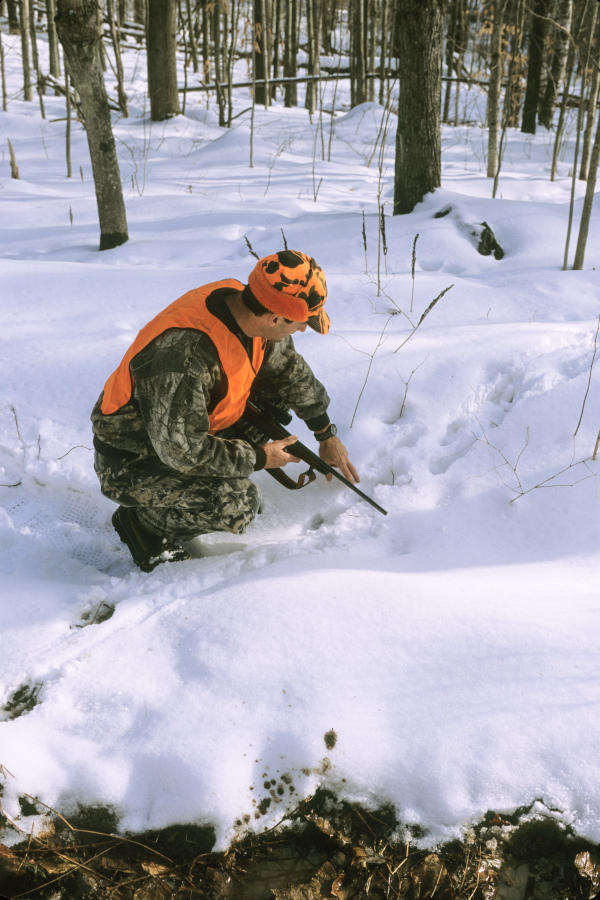 Vermont’s Rifle Deer Season Starts Saturday Outdoor Wire
