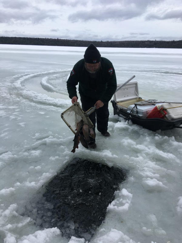 Winter Conditions Present Unique Challenges for Fishery Management Fishing Wire