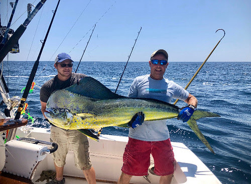 Cambridge, MD Angler Reels in Record Mahi Mahi near Ocean