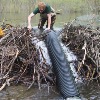 "Beaver Baffles" Prevent Flooding in Vermont Wetland Areas