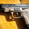 Honor Defense Auctions Gun to Benefit C.O.P.S.