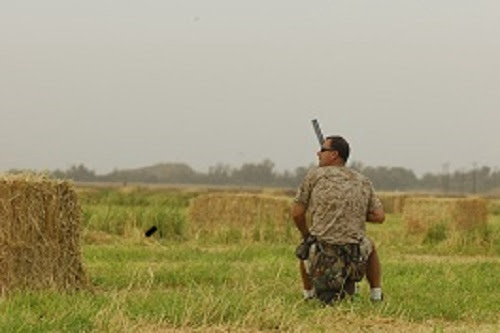 Arizona Dove Hunters Expect Plenty Of Birds Outdoor Wire