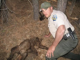 Game warden's job turns into 'war in the woods' – The Mercury News