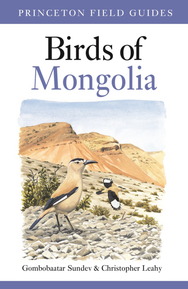 The Birds of Mongolia | Birding Wire