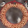 Duncraft Red Whole Peanut Wreath