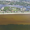 Study to Detail Costs of Harmful Algae Blooms on Local Communities
