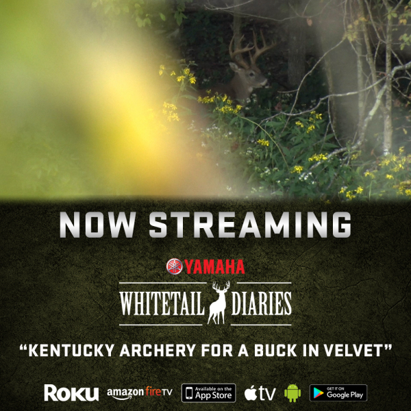 Outdoor Action TV Kentucky Archery for a Buck in Velvet on Whitetail