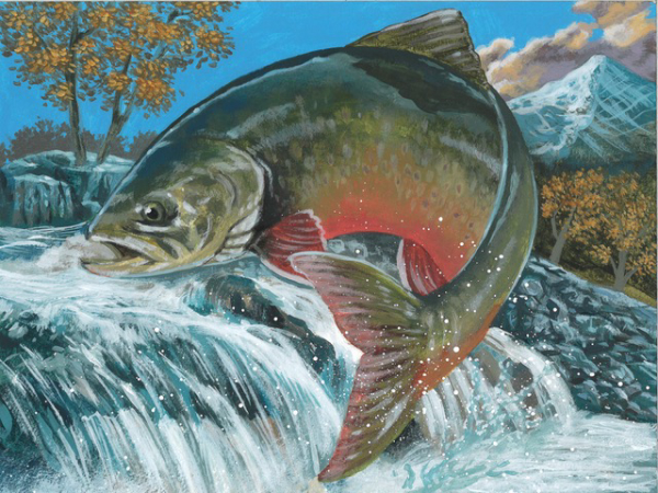 Wildlife Forever Announces The Winners Of The 2020 State-Fish Art ...