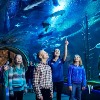 Fans Invited to Vote for Wonders of Wildlife as &ldquo;America&rsquo;s Best Aquarium&rdquo;