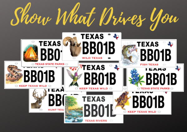 New bass design on Texas conservation license plates - Texas Hunting &  Fishing