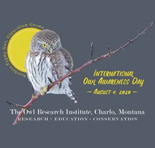 International Owl Awareness Day – August 4th | Birding Wire