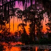 <p>Louisiana Announces Winners of Scenic Rivers Photo Contest </p>

<p> </p>
