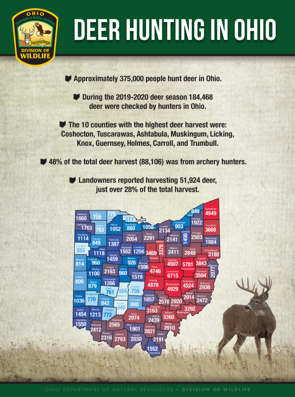 Deer Hunters Head to the Woods for the Start of Ohio’s Archery Season ...