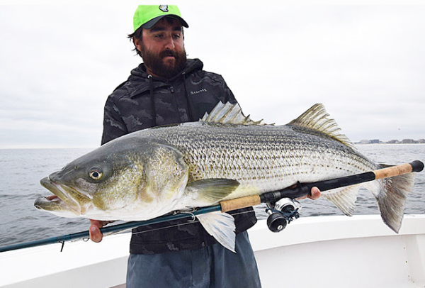 The Lightweight Bucktail: Top Tips For Back Bay Stripers - The Fisherman