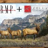 Kelly Brand Management (KBM) Combines Forces with Family Owned Business, Rocky Mountain Publishing