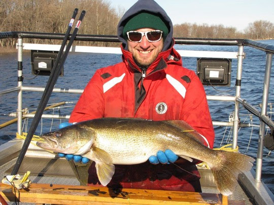 Wisconsin DNR to Update Walleye Management Plan | Outdoor Wire