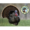 Camp Woodie Turkey Hunt Giveaway
