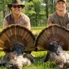 Black Belt Big Gobbler Photo Contest Kicks Off