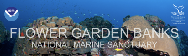 The Flower Garden Banks National Marine Sanctuary Adds 14 Additional ...