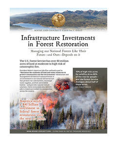Boone and Crockett Club Calls for $45 Billion Infrastructure Investment in Forest Management and Restoration