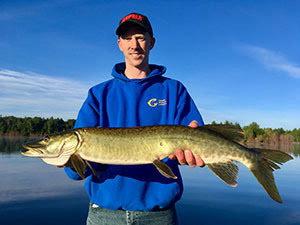 Michigan DNR asks anglers to report muskellunge catches