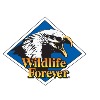 Wildlife Forever Online Auction Features Gear, Trips and Antiques