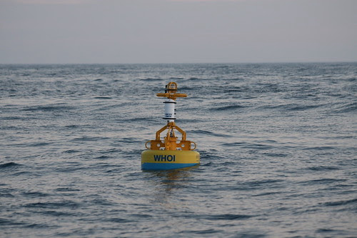 Monitoring Buoy to Help Research Marine Mammals off Atlantic Coast