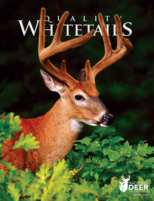 Preview the Summer Issue of NDA’s Quality Whitetails Magazine