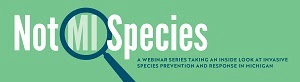 NotMISpecies webinars offer help for backyard invasive species problems and more