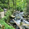 <p>Anna Ruby Falls Closed for Maintenance</p>

