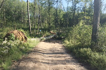 Weekend storms create trail hazards: Take extra care on northern Lower Michigan trails