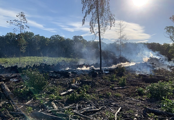 Michigan DNR seeks information on likely arson fire in Allegan State Game Area