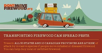 Michigan: make safe firewood choices to protect the places you love