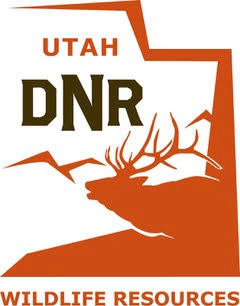 Utah: Conservation Officers Investigating New Bull Elk Case