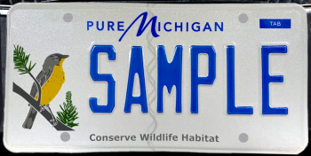 Michigan: Kirtland’s warbler to grace 2022 wildlife habitat license plate