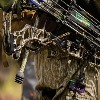 Gold Tip and Bee Stinger Announce New Products at ATA 2022