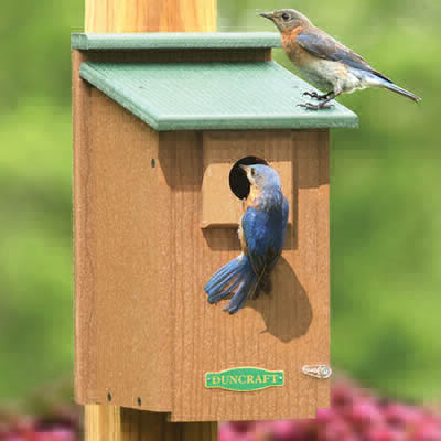 Spring Nest Boxes