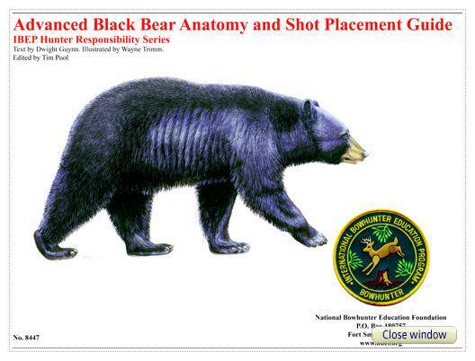 Black Bear Shot Placement Aids Available from National Bowhunter Education Foundation