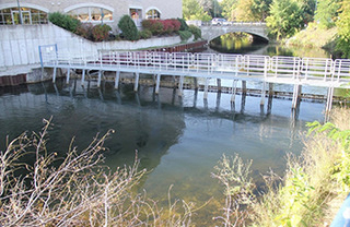 Michigan: Boardman Weir in Operation to Support Fisheries Study