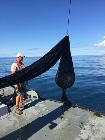 Great Lakes research vessels collect valuable information on fish populations