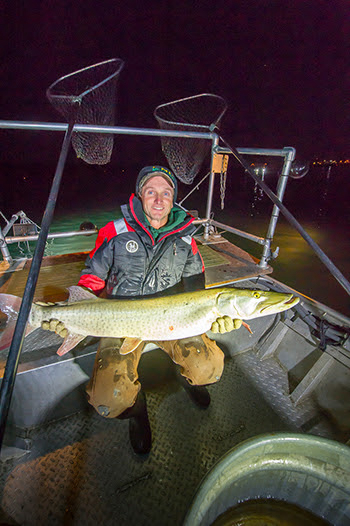 Michigan DNR muskellunge egg collection underway on Detroit River and Lake St. Clair