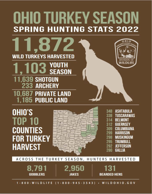Ohio’s Spring Wild Turkey Season Concludes with 11,872 Birds Harvested